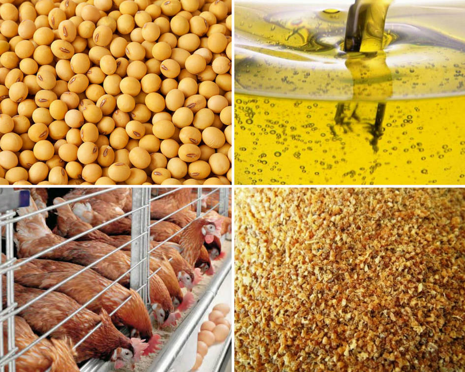 HUM, с установками по производству обезжиренной сои наготове