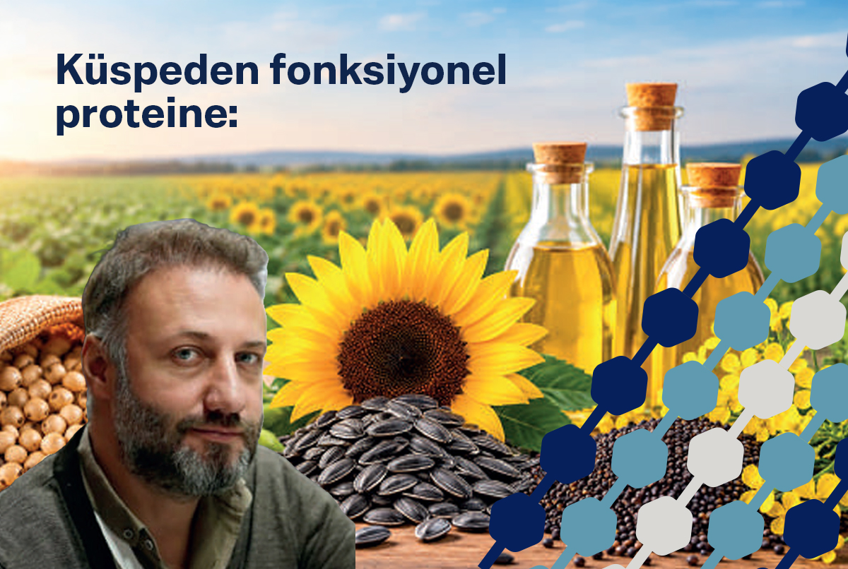 Küspeden fonksiyonel proteine: